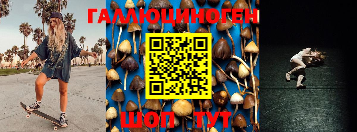Спасск-Дальний  где можно купить наркотик  Вход с VPN  Галлюциногенные грибы мицелий 